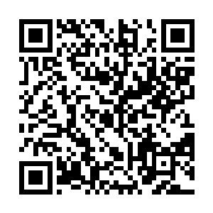 可是显然根本就没有一种能够跟万年石钟乳能够比拟的二维码生成