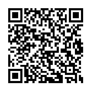 可是最后许德拉竟然将残留的劫雷完全吸收掉了二维码生成