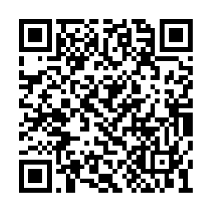 可是最后龙傲天发现自己实在是有些高估了自己二维码生成