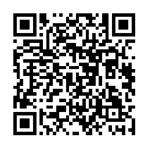 可是最大的敌人天劫却是不知道什么时候会降临的二维码生成