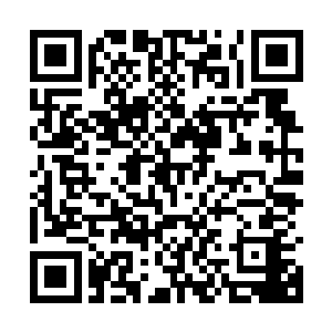 可是有龙族血脉的仙兽··那不都是那些风流的龙给祸祸出来的二维码生成