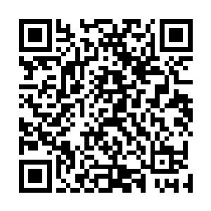 可是木萦却仍能感觉到身后连枫投注在她身上的强烈视线二维码生成