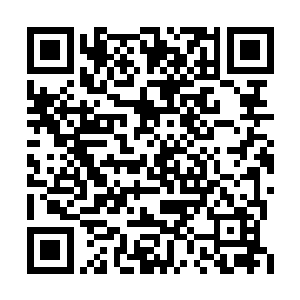 可是机械族既然是一个在宇宙上排的上榜的种族二维码生成