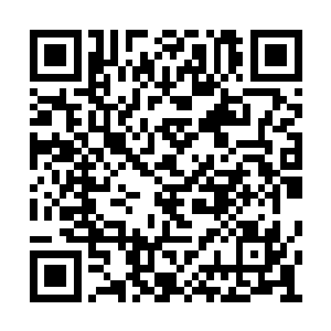 可是杀了他这个袭警夺枪的罪犯问题还是不大的二维码生成