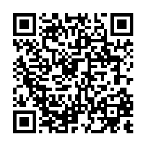 可是杨遐不论在战力还是境界上都比我们两个要低二维码生成