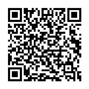 可是棋局上的小小一点已经有了不宜察觉的动静二维码生成