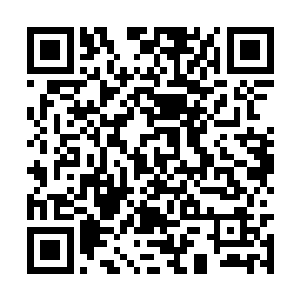 可是横隔在刘飞与洛家的仇恨却是越发浓烈了起来二维码生成