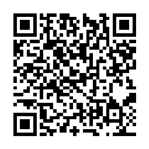 可是正当他心中疑惑吩咐人准备上前去血癌的时候二维码生成