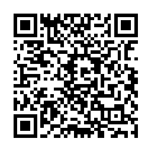 可是正是因为这样也大大的阻碍了龙家的发展和扩大二维码生成