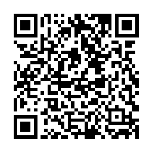 可是此刻在看到那修罗头领眼中若隐若现的冷芒之后二维码生成