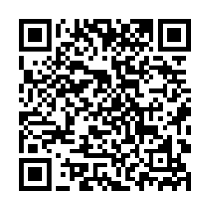 可是此刻映入她眼帘的到处都是乱糟糟黑压压的人群二维码生成