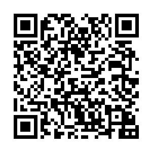 可是此刻这光手却硬生生的扛住了他们多人的围攻二维码生成