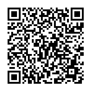 可是此时屋子里的这十一个人仿佛并没有心情去管尸体上的味道一样二维码生成
