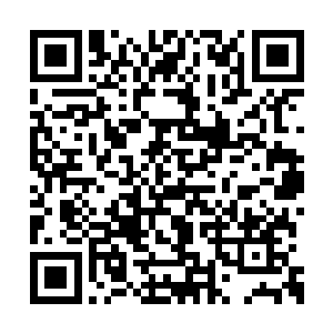 可是此时的夏天就坐在车里呆呆的看着他们两个二维码生成