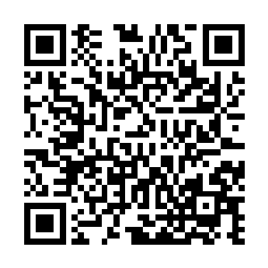 可是每次押解犯人的番族人回头的时候又什么都发现不了二维码生成