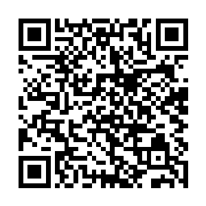 可是比起狮子座那一个个从尸山血海中杀出来的家伙二维码生成