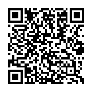 可是毕竟已经分开并且有了各自的灵智和意识了二维码生成