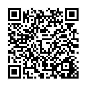 可是沉鱼却并未如粉黛所愿那般要么痛哭要么害怕二维码生成