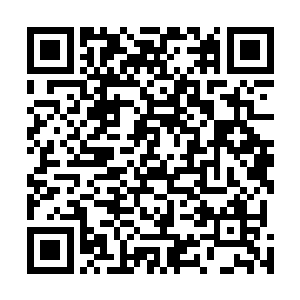 可是没想到对方竟然在这个场合依旧是公然跟龙傲天叫板二维码生成