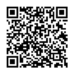 可是清醒的神智对于当前而言绝对不是什么好事二维码生成