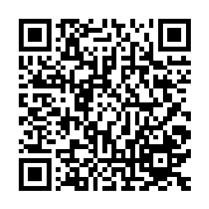 可是灵力凝结的长剑一连穿透三个巨龟傀儡后终于后势无力了二维码生成