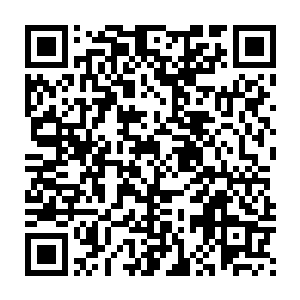 可是熟知这里的人却没有一个敢因此而对这家宅院的主人有丝毫的轻视二维码生成
