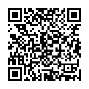 可是狗王身上虽然没有穿着那一件闪耀着幽幽青光的鳞甲二维码生成