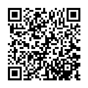 可是王诗韵的种兔现在却活的好好的一点毛病都没有二维码生成