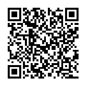 可是现在……晏二爷瞧了一眼奄奄一息的素心兰花二维码生成