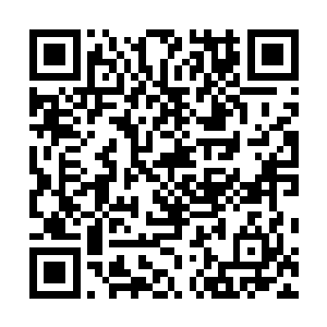 可是现在一觉得夏天和传说中的那个人简直就是越来越像二维码生成