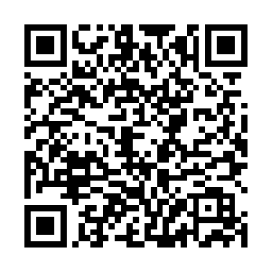 可是现在九鼎门居然直接给他们送来了一千本七级功法二维码生成