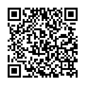 可是现在他们才发现自己等人实在是太小看丹尘子了二维码生成