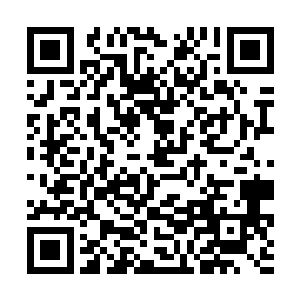 可是现在他们看到sss级佣兵卡尔的灵力苏醒能力以后二维码生成