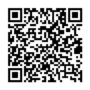 可是现在他发现击杀一只普通的噬灵鼠竟然获得了两点二维码生成
