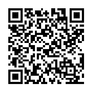 可是现在他那两根手指居然就这样被夏天轻松的斩断了二维码生成