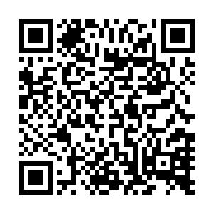 可是现在夏天和对方进行的碰撞却点燃了现场所有人的激情二维码生成