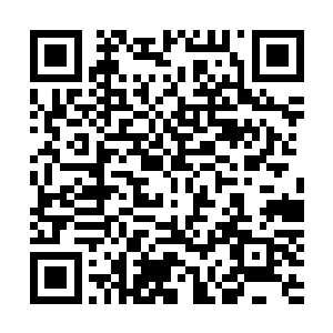 可是现在少年看着修罗只感觉修罗如同一只凶猛的野兽一般二维码生成