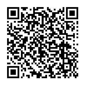 可是现在我明明知道自己只需要每个月流些血便能救回数十条人命二维码生成