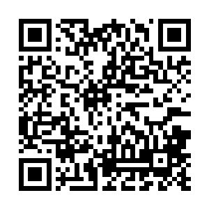 可是现在整个昊天域界的所有生命星辰里都是人头攒动二维码生成