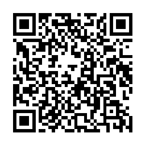 可是现在既然一切都没有沿着当初婆婆告诉小蝶的道路发展二维码生成