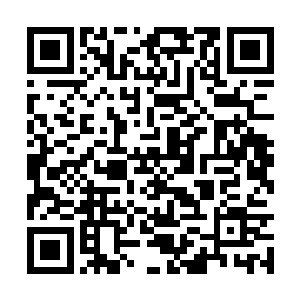 可是现在显然风笑天发现自己有些太小看龙傲天了二维码生成
