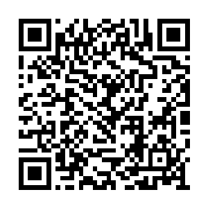 可是现在林中火居然拍出的价格和凤羽刃差不多二维码生成