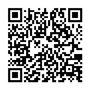 可是现在没想到杨戬竟然拿出了更加漂亮的梦幻天罗羽衣二维码生成