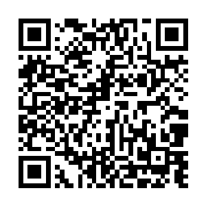 可是现在跟龙族的力量一比显然根本就不是一个档次的二维码生成