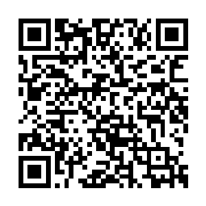 可是现在龙傲天虽然说已经有了化神顶峰的修为二维码生成