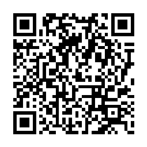 可是生命本能让他们即便再肮脏龌龊再痛苦低贱二维码生成