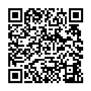 可是由于大厅和厨房之间的通道已经被堵塞住了二维码生成