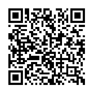 可是白芒在夏天的面前居然连还手的能力都没有二维码生成