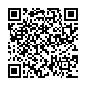 可是眉宇之间还是可以感受到最近一段时间以来的沉重二维码生成
