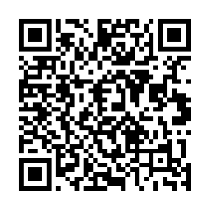 可是看到两位家主突然如此狂暴的展现出他们真正的实力二维码生成